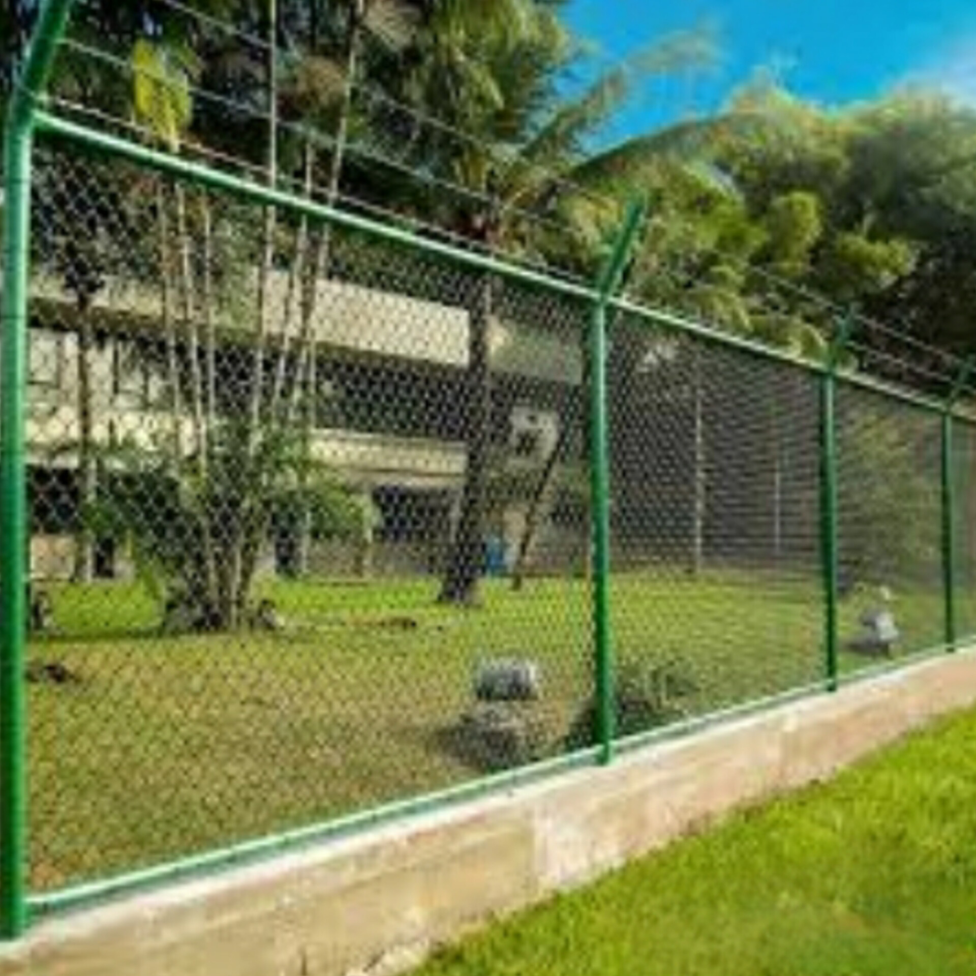 مشروع شبوك لمزرعة نخيل