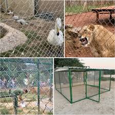 مشروع شبوك لتربية المواشي